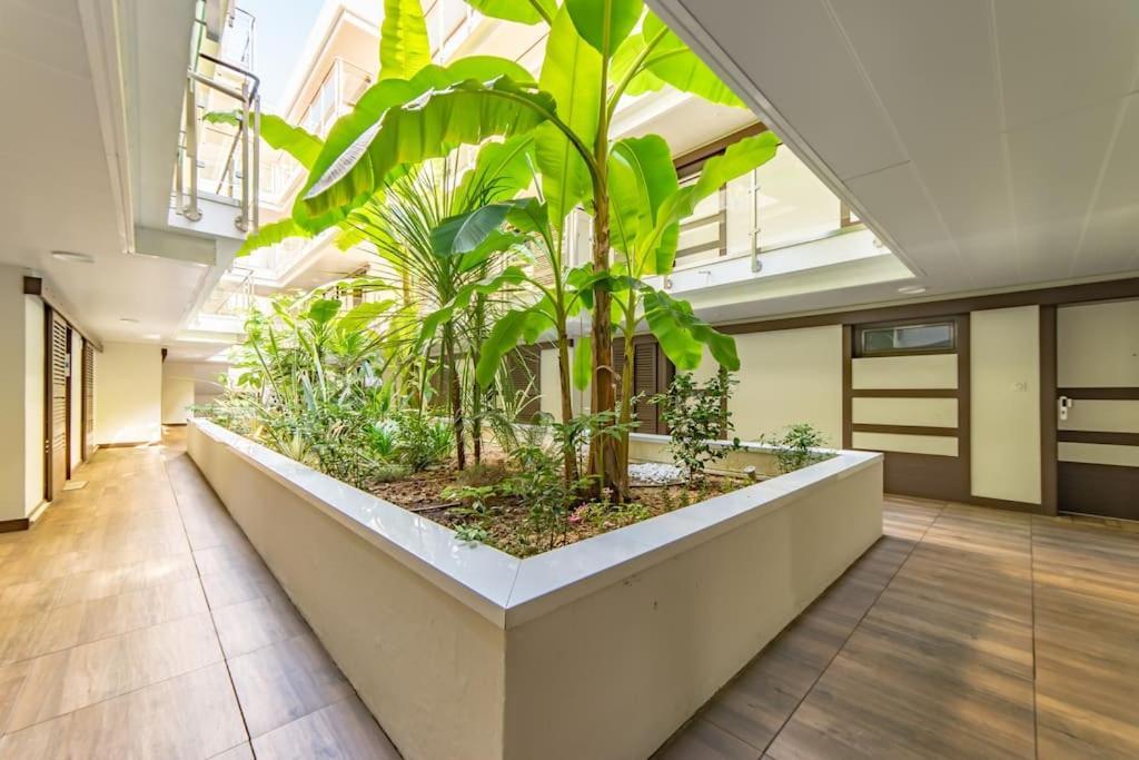 Апартаменти A7- 2 Bdr Sea & Mountain View - Ac, Parking, Pool & Terrace Антіб Екстер'єр фото